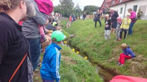 Gummiankorna närmar sig upploppet vid lilla träbron.